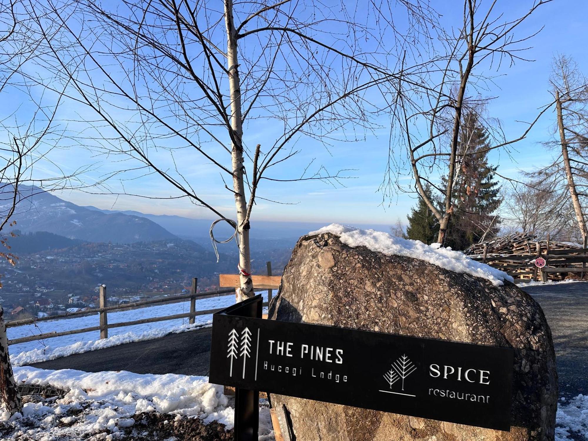 The Pines Bucegi Lodge Μπραν Εξωτερικό φωτογραφία