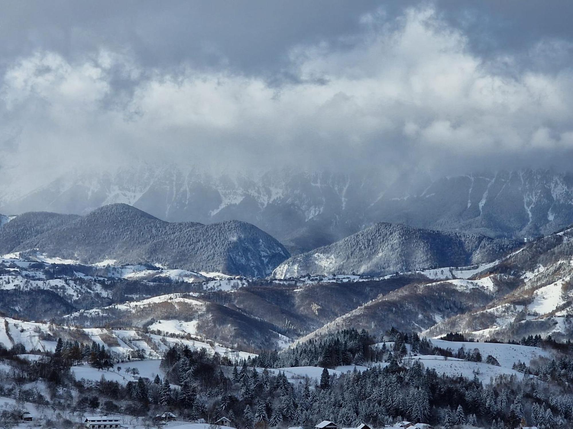 The Pines Bucegi Lodge Μπραν Εξωτερικό φωτογραφία