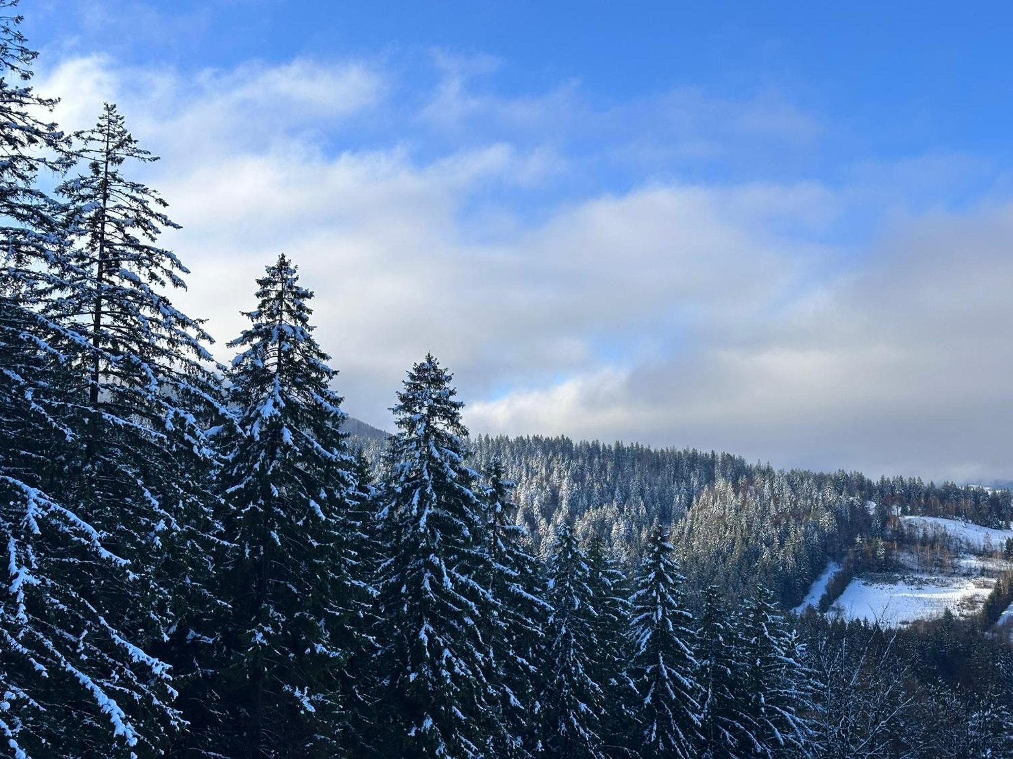 The Pines Bucegi Lodge Μπραν Εξωτερικό φωτογραφία